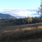 Canoe Trip, Boyd River, May 2015