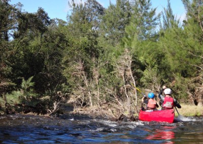 An afternoon of rapids