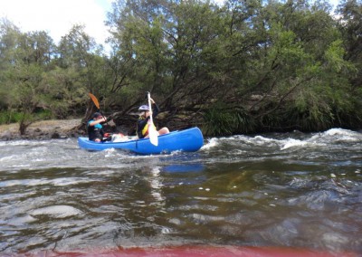 Coming through the rapids