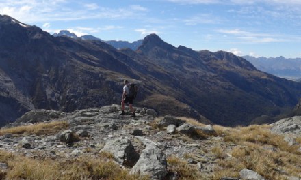 Hollyford Track – June 2015